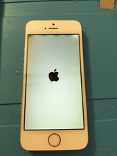 DISPLAY + FOTOCAMERA + ALTOPARLANTE APPLE IPHONE 5S A1457