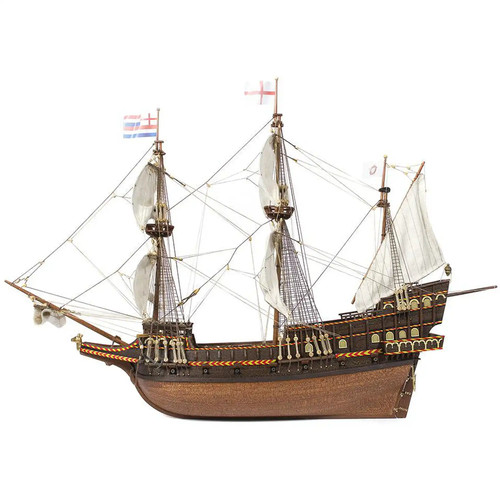 Occre 12003 golden - golden, hind