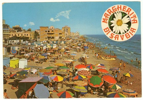 Cartoline margherita di - cartoline,