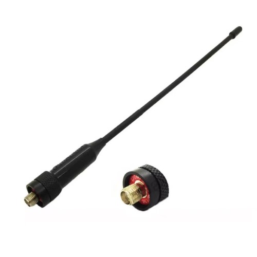 Antenna doppia banda