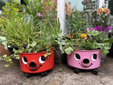 Pentole per piante vasca