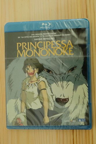 Hayao miyazaki principessa - hayao,