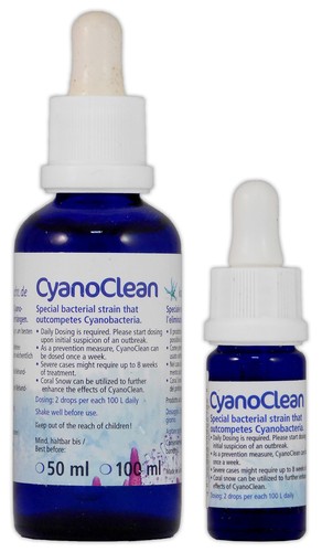 Coralli allevamento cyano - allevamento,