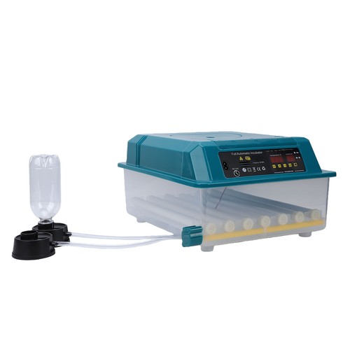 Incubatrice uova cova - 36,