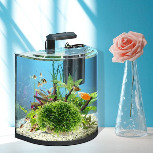Accessori acquario piante - ,