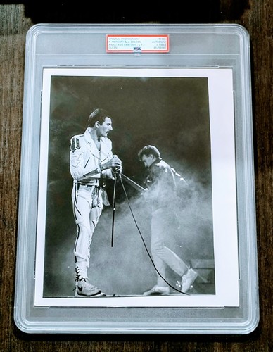 1982 freddy mercury - freddy,