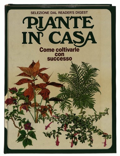 Ebond piante casa - in, come