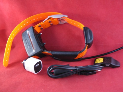 Garmin tt10 gps usato cane - tt10,