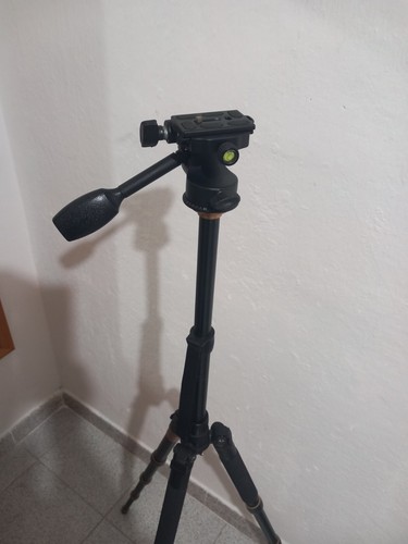 Treppiede senza testa