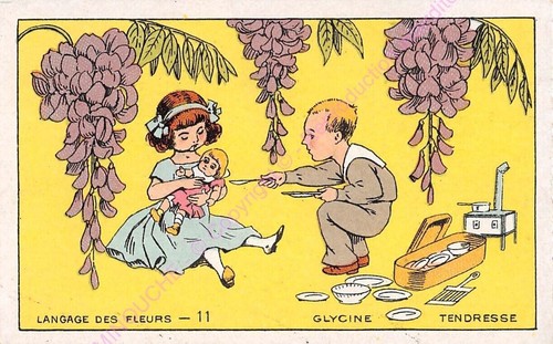 Chromo cioccolato touraine - chromo,