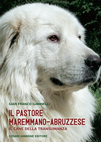 Cane pastore - cane,