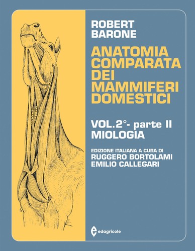 Anatomia comparata dei
