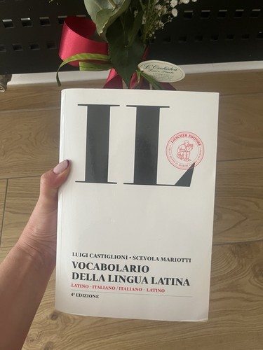 Luigi castiglioni scevola - luigi,