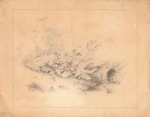 Paesaggio prato con - paesaggio, fiori