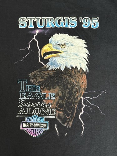 Harley davidson eagle - harley-davidson,