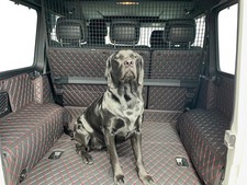 Protezione Cofano Tappetino