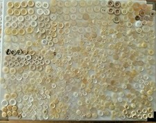 Lotto STOCK n.580 BOTTONI