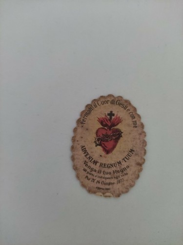 Adveniam regnam tuum cuore - regnam, tuum,