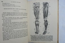 La Machine Umana Anatomia Meccanico Fisiologia