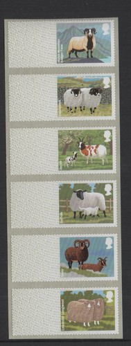 Post blanks animali - blanks,