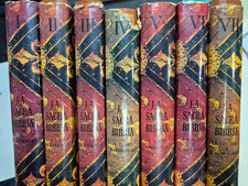 La sacra Bibbia illustrata 7