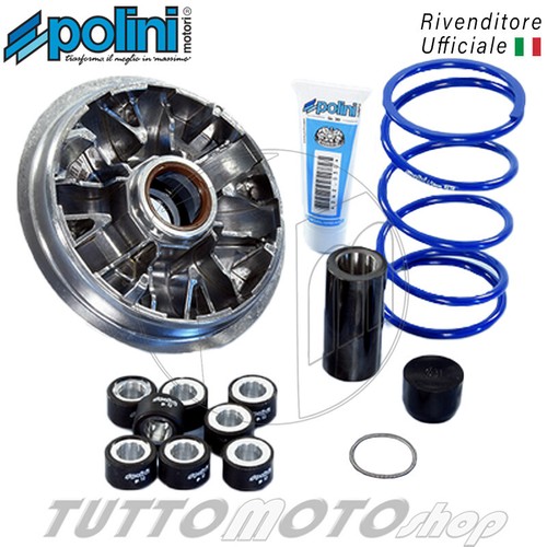 241 699 variatore polini - 241.699,