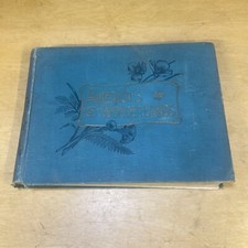 Old AMERICA'S WONDERLAND Book