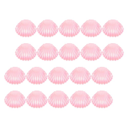 Pezzi conchiglie di mare - , 20