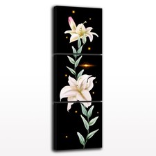 Set di 3 Quadri Decorativi
