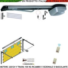 BASCULANTI SEZIONALI MOTORE