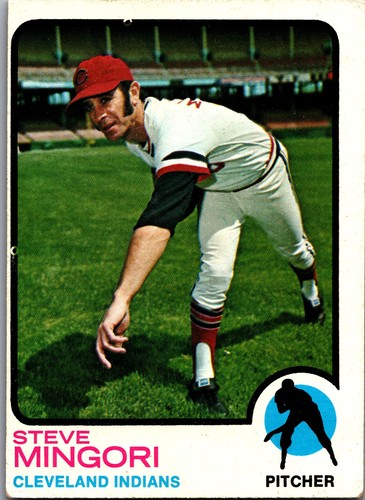 1973 topps steve mingori - 1973, #532