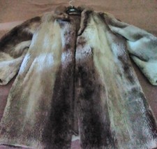 Pelliccia Castoro Chiaro Di Luna