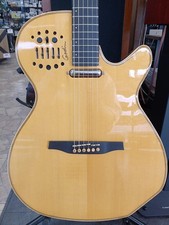Chitarra acustica Godin