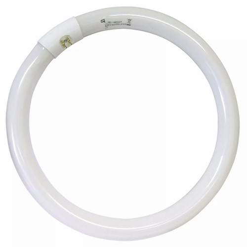Neon fluorescente circolare - neon,
