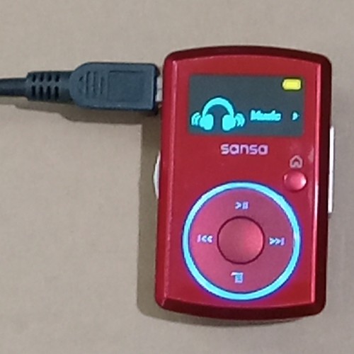 Sandisk sansa clip 2gb lettore - sandisk,
