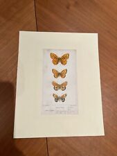 16 Antiche Stampe Francesi a colori  con farfalle garantite anno 1830