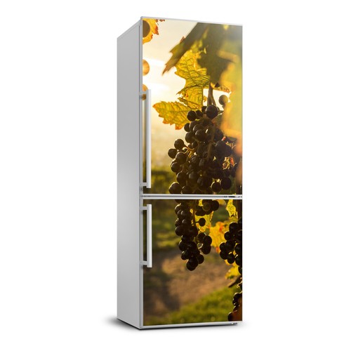 Calamita frigo autoadesiva