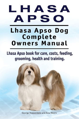Lhasa apso - lhasa, dog