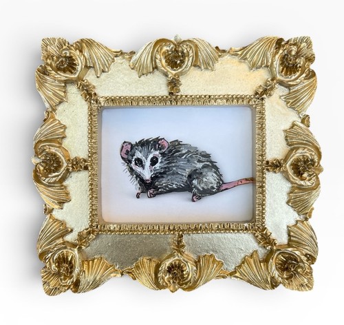 Opossum acquerello stampa