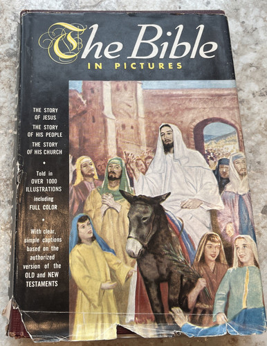 The bible pictures - the,