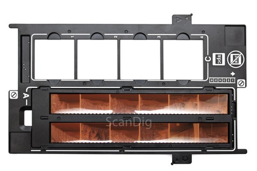 Epson supporto pellicola - supporto,