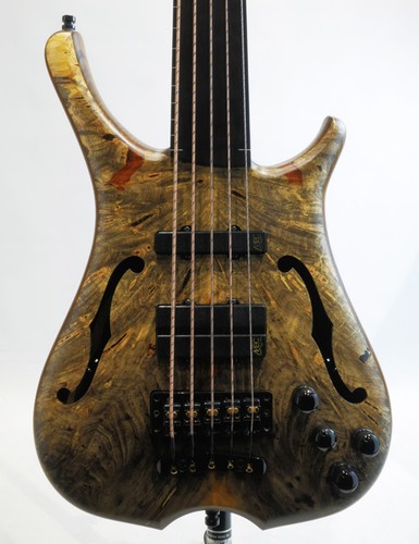 Warwick custom shop - custom, infinity