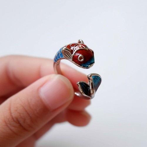 Anello koi fish - koi,