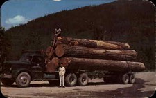 Washington Oregon Douglas Fir