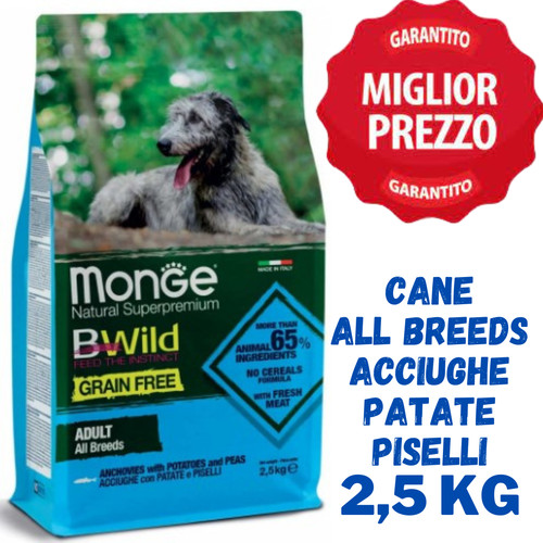 Monge bwild cane - monge, adult