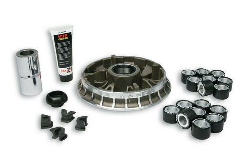 Variatore malossi 5115501 - variatore,