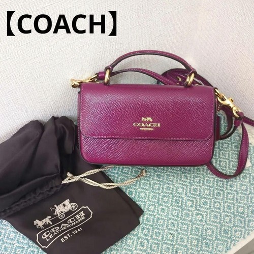Coach mini george - coach, manico