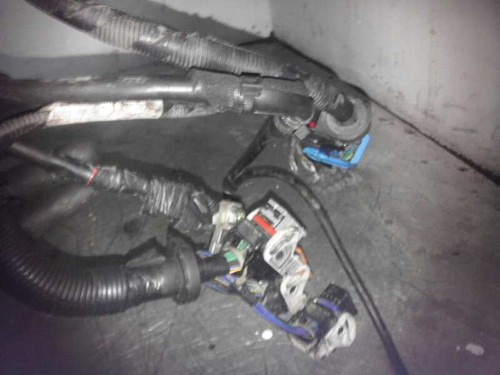 G6da motore ford focus - g6da,