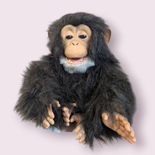 Pelliccia Amici Veri Coccola