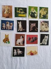 Figurine Merlin's PRECIOUS